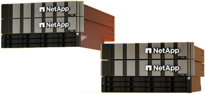 NetApp FAS Series
